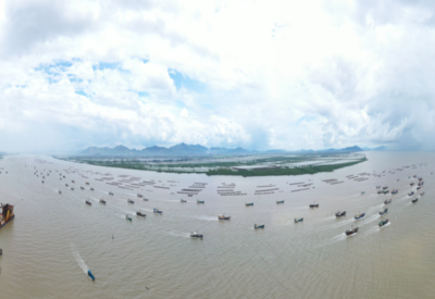 向海而興 大灣區(qū)以科技創(chuàng)新擦亮海水養(yǎng)殖“藍(lán)色名片”