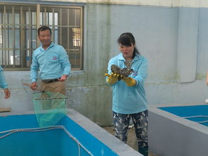 廣西防城港 海鑫鑫水產(chǎn)科技深耕海水石斑魚養(yǎng)殖與技術(shù)創(chuàng)新